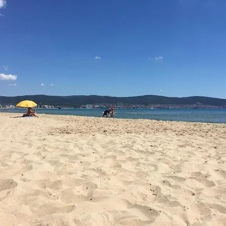 公寓 Apartment Elit IV Sunny Beach