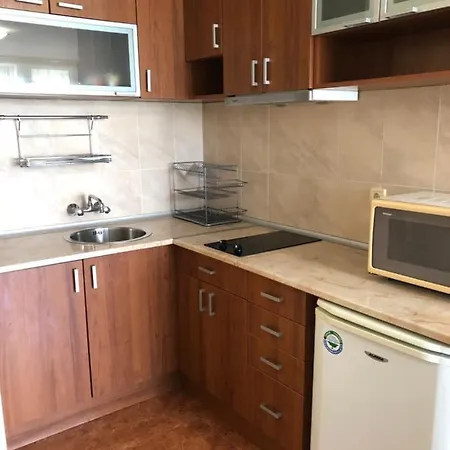 Apartment Elit IV Sunny Beach 公寓 *