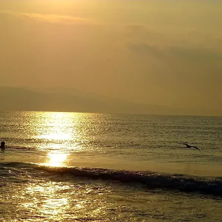 Apartment Elit IV Sunny Beach 公寓 *