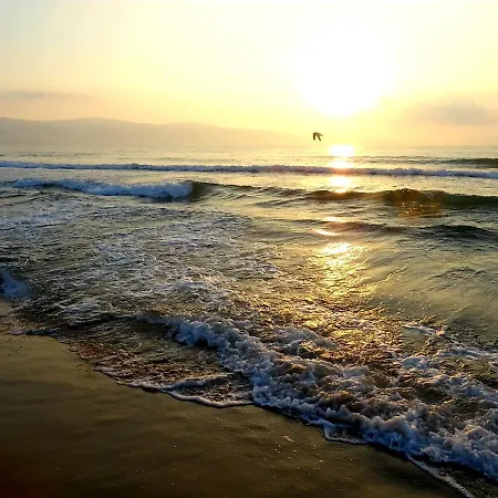 公寓 Apartment Elit IV Sunny Beach *